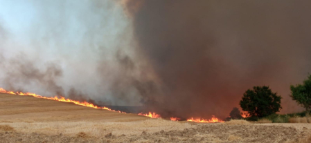 Fotos del incendio producido entre Obanos y Legarda llegando al término municipal de Puente la Reina.
