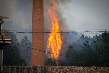 Fotos del incendio producido entre Obanos y Legarda a su llegada a Puente la Reina