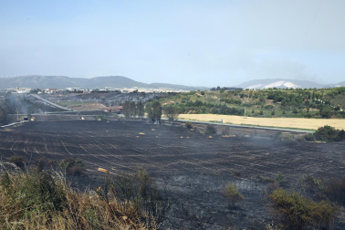 Fotos del incendio producido entre Obanos y Legarda.