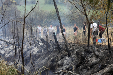 Fotos del incendio producido entre Obanos y Legarda.