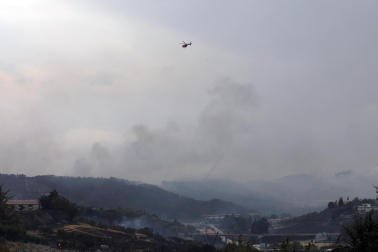 Fotos del incendio producido entre Obanos y Legarda.