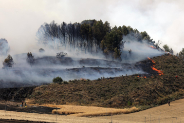 Fotos del incendio producido entre Obanos y Legarda.