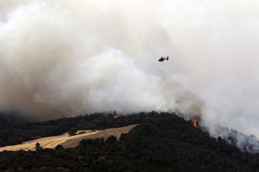 Fotos del incendio producido entre Obanos y Legarda.