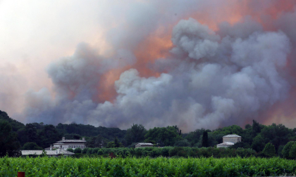 Fotos del incendio producido entre Obanos y Legarda.