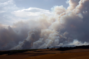 Fotos del incendio producido entre Obanos y Legarda.