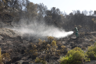 Trabajadores de Congelados de Navarra, en Fustiñana, trabajan en extinguir el fuego en una ladera junto a la empresa