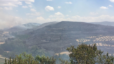 Incendio en San Martín de Unx, este domingo.