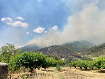 Incendio en la zona de Valdetxauri.