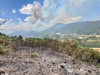 Incendio en la zona de Valdetxauri.