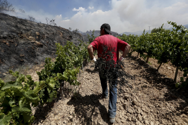Incendio en San Martín de Unx.