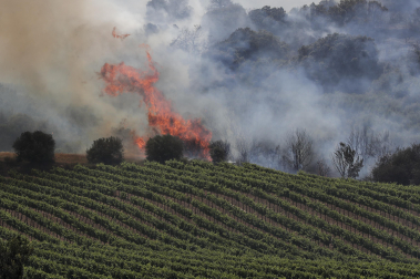 Incendio en San Martín de Unx.