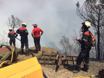 Incendio en San Martín de Unx, este domingo.