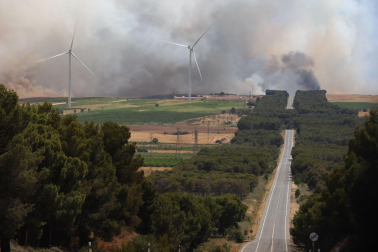 Incendio desde la carretera Caparroso