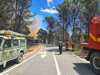 Fotos de los incendios activos en Navarra este domingo.