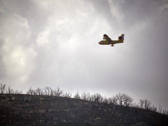 Fotos de los incendios activos en Navarra este domingo.