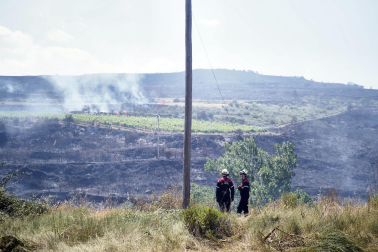 Fotos de los incendios activos en Navarra este domingo.