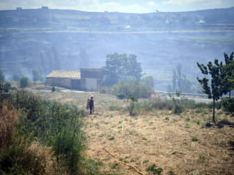 Fotos de los incendios activos en Navarra este domingo.