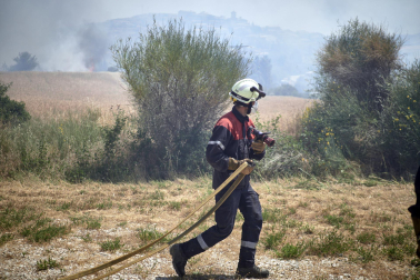 Fotos de los incendios activos en Navarra este domingo.