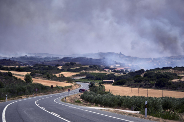 Fotos de los incendios activos en Navarra este domingo.