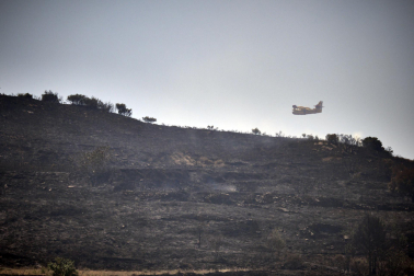 Fotos de los incendios activos en Navarra este domingo.