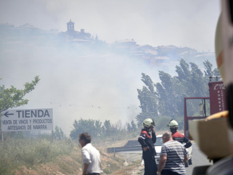Fotos de los incendios activos en Navarra este domingo.
