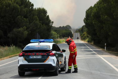 Fotos de los incendios activos en Navarra. El fuego en las cercanías de San Martín de Unx ha provocado el desalojo de la localidad.