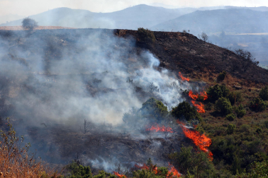 Fotos de los incendios activos en Navarra. El fuego en las cercanías de San Martín de Unx ha provocado el desalojo de la localidad.