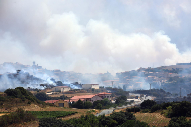 Fotos de los incendios activos en Navarra. El fuego en las cercanías de San Martín de Unx ha provocado el desalojo de la localidad.