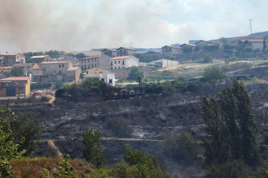 Fotos de los incendios activos en Navarra. El fuego en las cercanías de San Martín de Unx ha provocado el desalojo de la localidad.