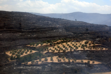 Fotos de los incendios activos en Navarra. El fuego en las cercanías de San Martín de Unx ha provocado el desalojo de la localidad.