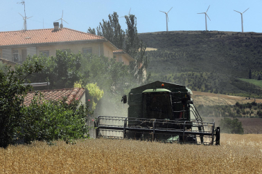 Fotos de los efectos de los incendios en Obanos, Puente la Reina, Legarda, Undiano y Astráin.