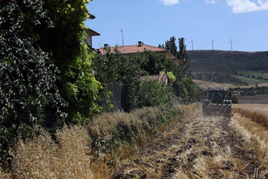 Fotos de los efectos de los incendios en Obanos, Puente la Reina, Legarda, Undiano y Astráin.