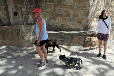 Fotos de los efectos de los incendios en Obanos, Puente la Reina, Legarda, Undiano y Astráin.