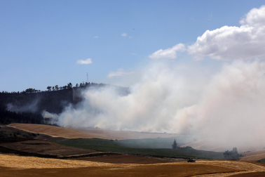 Fotos de los efectos de los incendios en Obanos, Puente la Reina, Legarda, Undiano y Astráin.