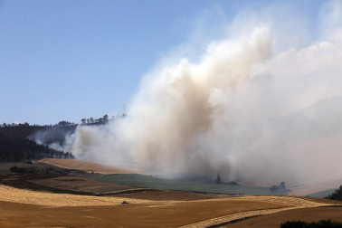 Fotos de los efectos de los incendios en Obanos, Puente la Reina, Legarda, Undiano y Astráin.