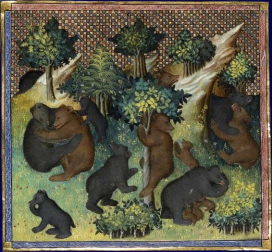 Osos pardos representados en una miniatura de principios del siglo XV del Livre de la Chasse de Gaston Phébus