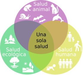 Las tres esferas de la perspectiva Una Sola Salud