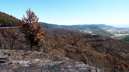 Fotos del verano de los lectores