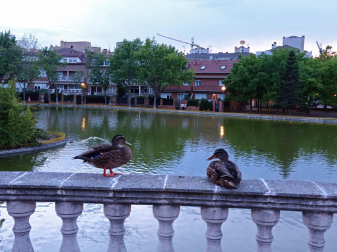 Anochecer en el lago de Barañáin