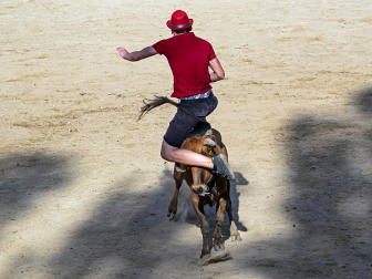 Cogida de un mozo en las vacas de Estella