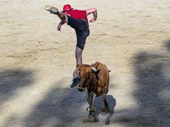 Cogida de un mozo en las vacas de Estella