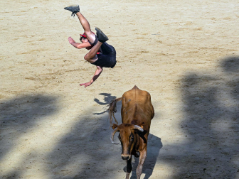 Cogida de un mozo en las vacas de Estella