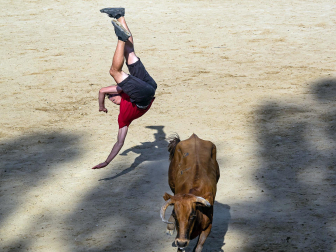 Cogida de un mozo en las vacas de Estella