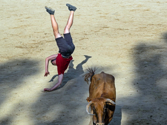 Cogida de un mozo en las vacas de Estella