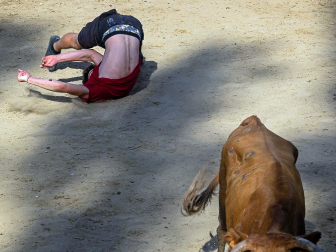Cogida de un mozo en las vacas de Estella
