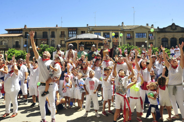 Fotos de la despedida de los gigantes en Tafalla./