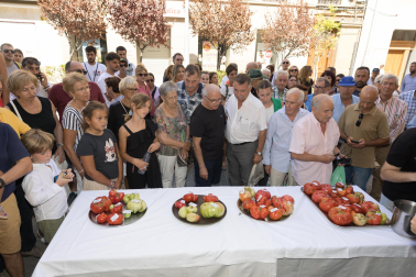 XV Concurso de Tomate Feo de Tudela