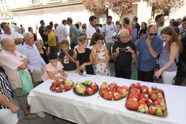XV Concurso de Tomate Feo de Tudela