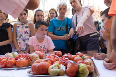 XV Concurso de Tomate Feo de Tudela