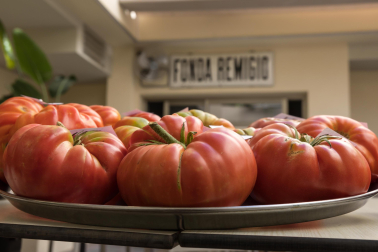 XV Concurso de Tomate Feo de Tudela